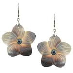 Pearlz Ocean Grey Shell and Grey Freshwater Pearl EarRings